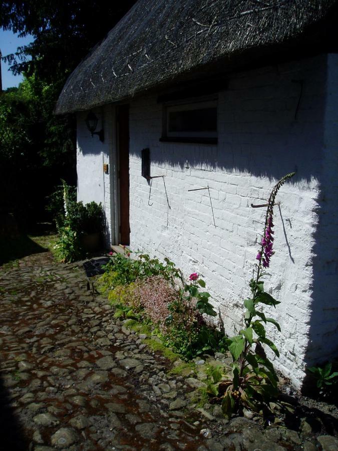 Stable Cottage Devizes Luaran gambar